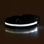 Safety Pet Collar For Lighted Up Nylon Solid LED