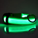 Safety Pet Collar For Lighted Up Nylon Solid LED