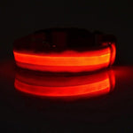 Safety Pet Collar For Lighted Up Nylon Solid LED