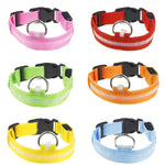 Safety Pet Collar For Lighted Up Nylon Solid LED