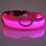 Safety Pet Collar For Lighted Up Nylon Solid LED