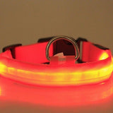 Safety Pet Collar For Lighted Up Nylon Solid LED