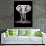 Animal Canvas Prints