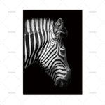 Animal Canvas Prints