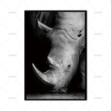 Animal Canvas Prints