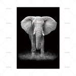 Animal Canvas Prints