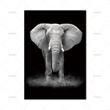 Animal Canvas Prints