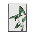 Leaf Canvas Paintings - 3 sizes